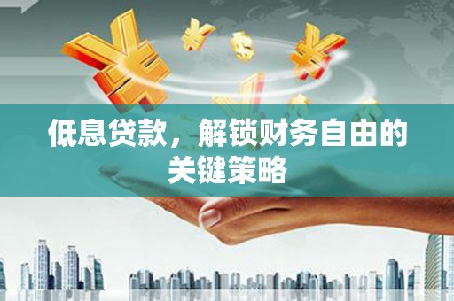 云龙低息贷款，解锁财务自由的关键策略