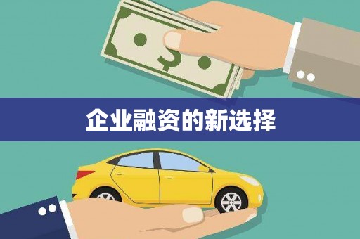 云龙企业融资的新选择
