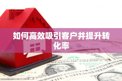 云龙如何高效吸引客户并提升转化率