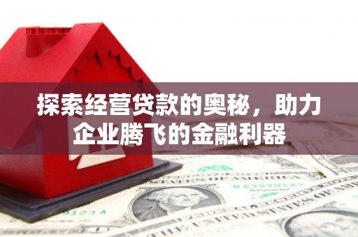 云龙探索经营贷款的奥秘，助力企业腾飞的金融利器