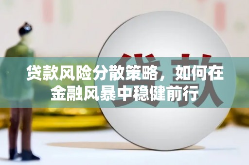 云龙贷款风险分散策略，如何在金融风暴中稳健前行