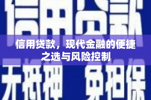 云龙信用贷款，现代金融的便捷之选与风险控制