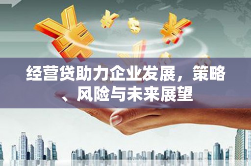 云龙经营贷助力企业发展，策略、风险与未来展望