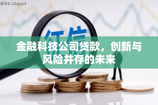 云龙金融科技公司贷款，创新与风险并存的未来