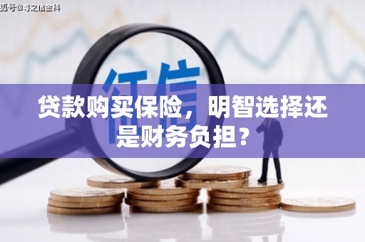 云龙贷款购买保险，明智选择还是财务负担？
