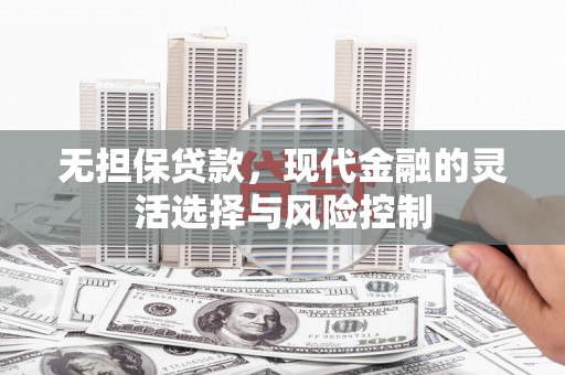 云龙无担保贷款，现代金融的灵活选择与风险控制