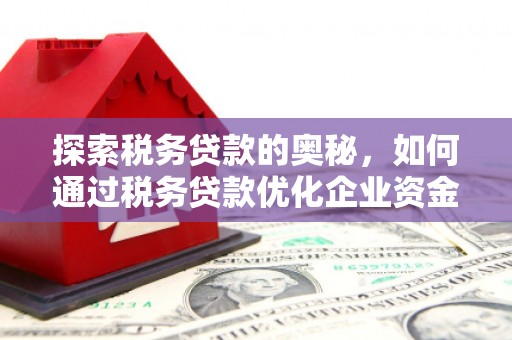 云龙探索税务贷款的奥秘，如何通过税务贷款优化企业资金流