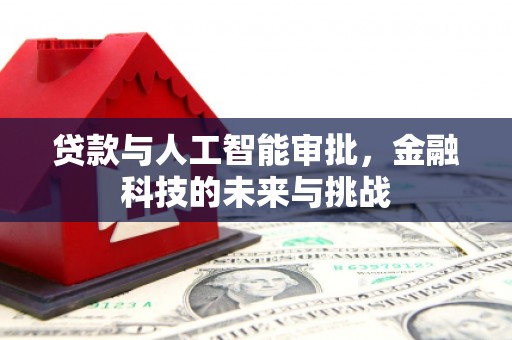 云龙贷款与人工智能审批，金融科技的未来与挑战