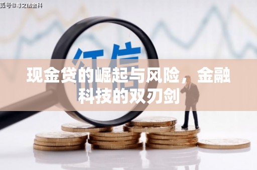 云龙现金贷的崛起与风险，金融科技的双刃剑