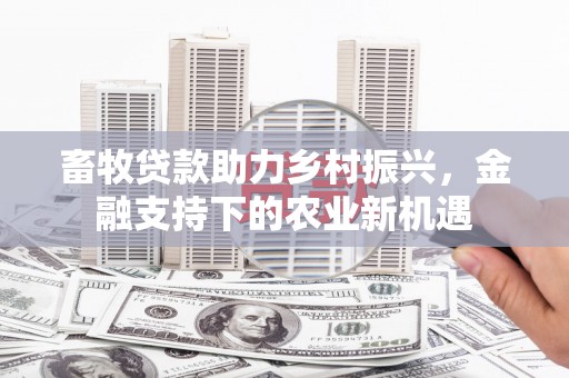 云龙畜牧贷款助力乡村振兴，金融支持下的农业新机遇
