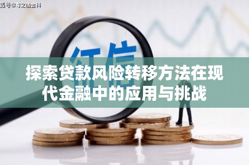 云龙探索贷款风险转移方法在现代金融中的应用与挑战