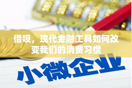 云龙借呗，现代金融工具如何改变我们的消费习惯