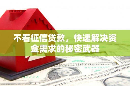 云龙不看征信贷款，快速解决资金需求的秘密武器