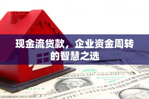 云龙现金流贷款，企业资金周转的智慧之选