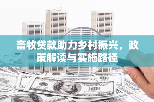 云龙畜牧贷款助力乡村振兴，政策解读与实施路径