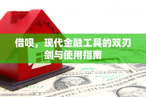 云龙借呗，现代金融工具的双刃剑与使用指南