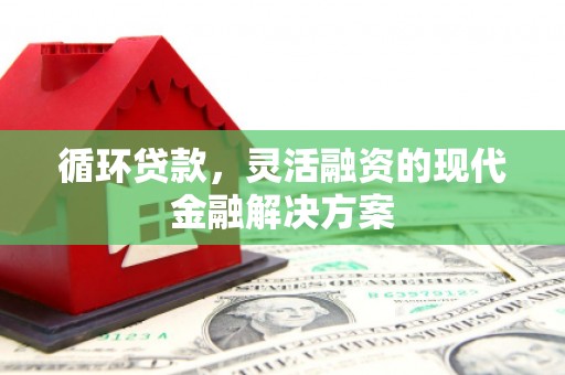 云龙循环贷款，灵活融资的现代金融解决方案