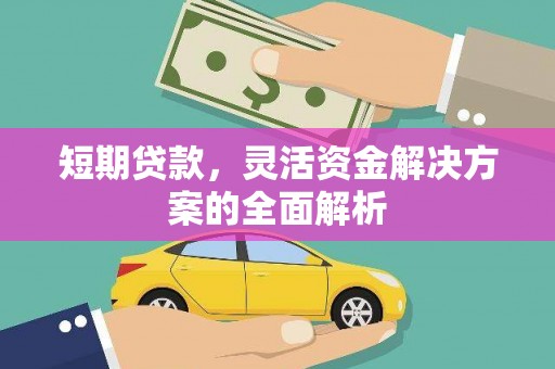 云龙短期贷款，灵活资金解决方案的全面解析