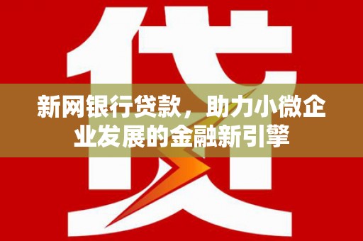 云龙新网银行贷款，助力小微企业发展的金融新引擎