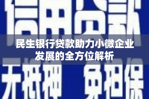 云龙民生银行贷款助力小微企业发展的全方位解析