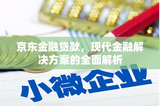 云龙京东金融贷款，现代金融解决方案的全面解析