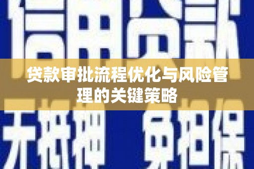 云龙贷款审批流程优化与风险管理的关键策略
