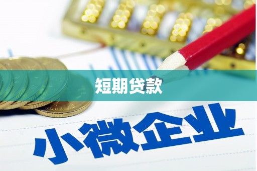 云龙短期贷款