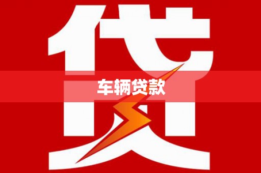 云龙车辆贷款