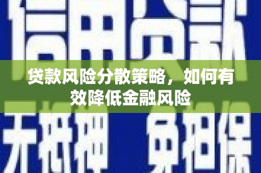 云龙贷款风险分散策略，如何有效降低金融风险