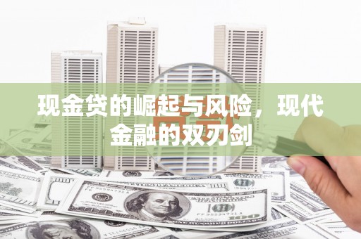 云龙现金贷的崛起与风险，现代金融的双刃剑
