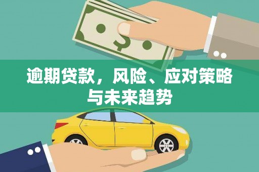 云龙逾期贷款，风险、应对策略与未来趋势