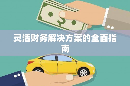 云龙灵活财务解决方案的全面指南