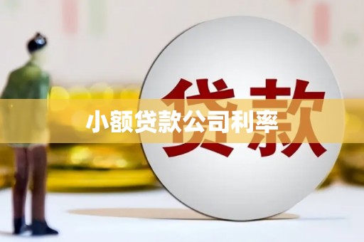 云龙小额贷款公司利率