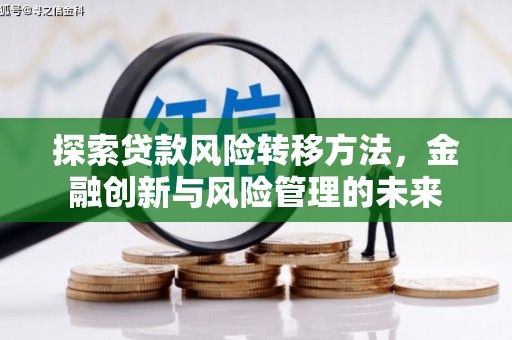 云龙探索贷款风险转移方法，金融创新与风险管理的未来