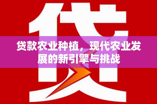 云龙贷款农业种植，现代农业发展的新引擎与挑战