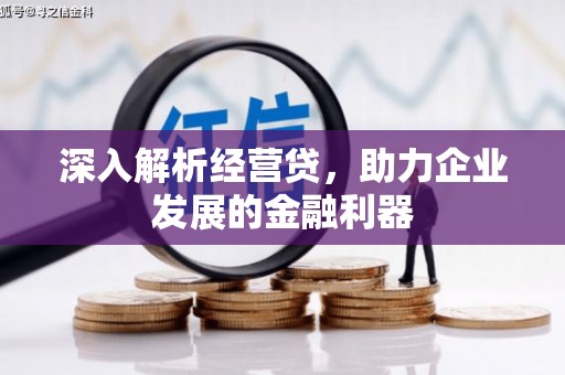 云龙深入解析经营贷，助力企业发展的金融利器