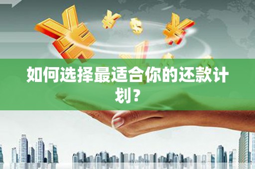 云龙如何选择最适合你的还款计划？