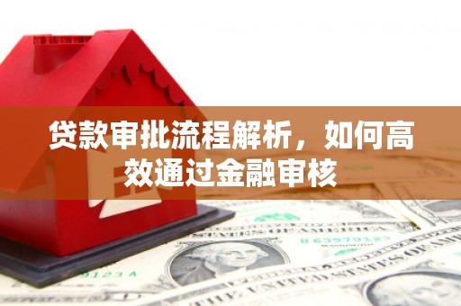 云龙贷款审批流程解析，如何高效通过金融审核