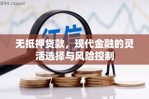 云龙无抵押贷款，现代金融的灵活选择与风险控制