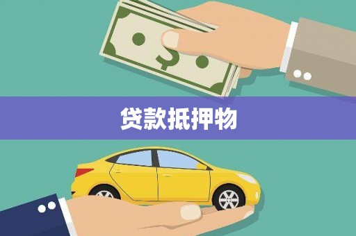 云龙贷款抵押物