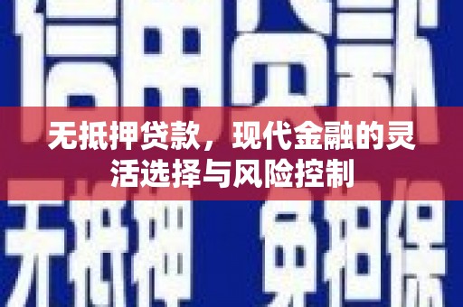 云龙无抵押贷款，现代金融的灵活选择与风险控制