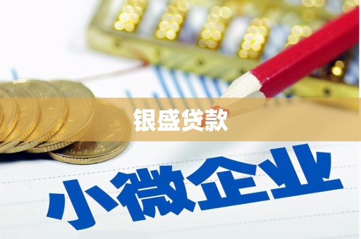 云龙银盛贷款