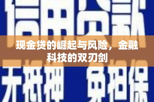 云龙现金贷的崛起与风险，金融科技的双刃剑