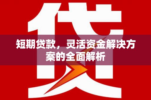 云龙短期贷款，灵活资金解决方案的全面解析