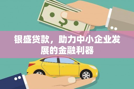 云龙银盛贷款，助力中小企业发展的金融利器