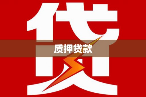 云龙质押贷款