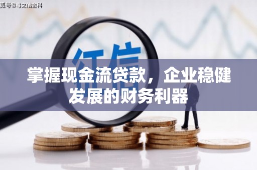 云龙掌握现金流贷款，企业稳健发展的财务利器