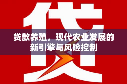 云龙贷款养殖，现代农业发展的新引擎与风险控制