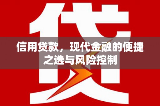 云龙信用贷款，现代金融的便捷之选与风险控制