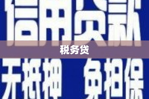 云龙税务贷